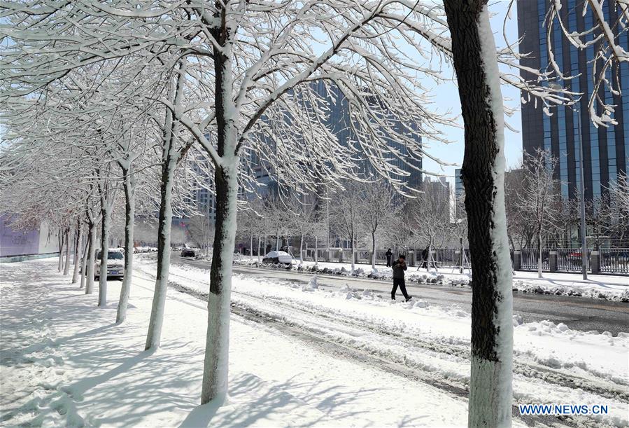 CHINA-LIAONING-WEATHER-SNOW (CN)