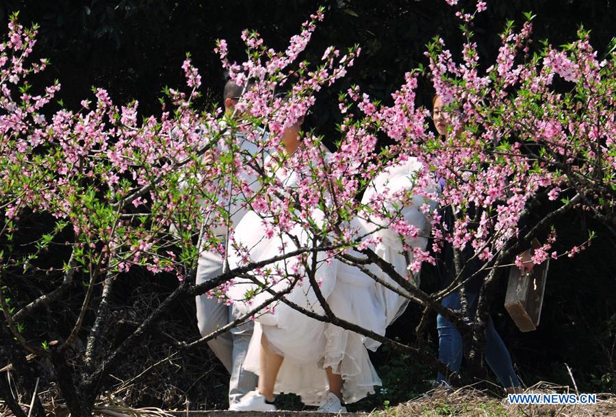 CHINA-ZHEJIANG-WEDDING-PEACH FOREST(CN)