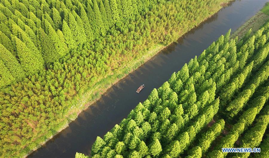 #CHINA-JIANGSU-FOREST-PARK-SCENERY (CN)