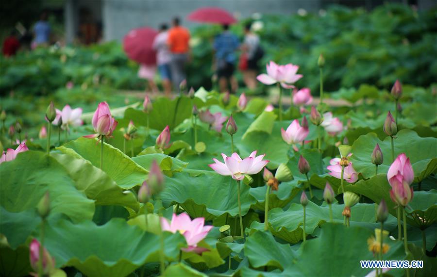 #CHINA-DRAGON BOAT FESTIVAL-HOLIDAYS (CN)