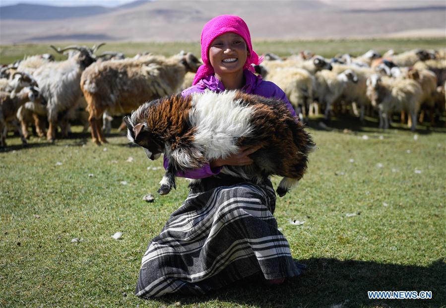 CHINA-TIBET-HERDSMEN-SHEARING (CN)