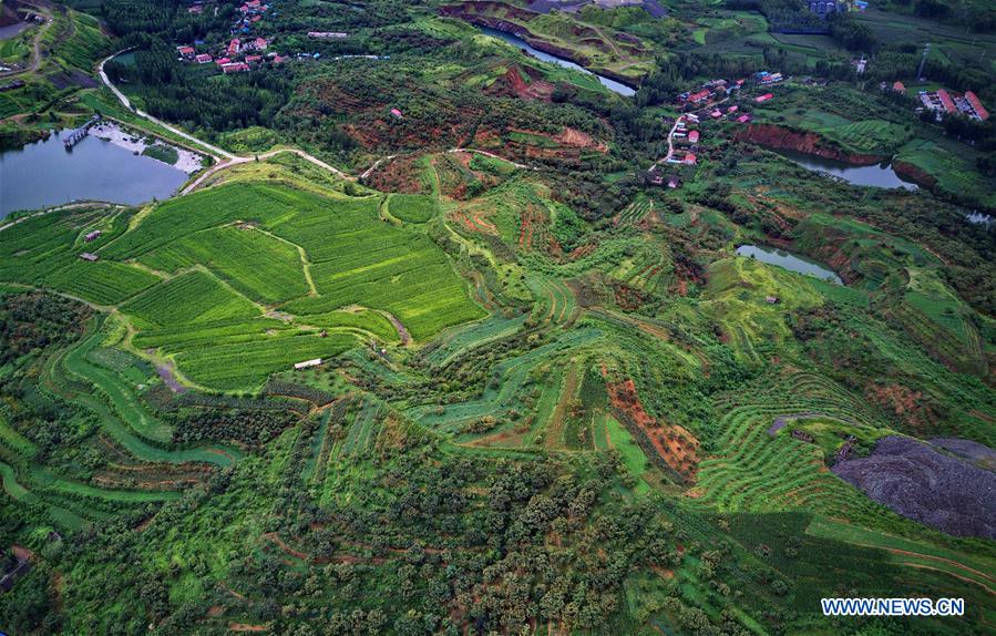 CHINA-HEBEI-QIAN'AN-MINE-RECLAMATION (CN)