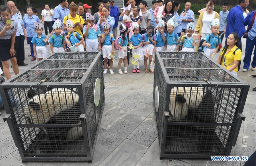 CHINA-CHANGCHUN-GIANT PANDAS-RETURN (CN)