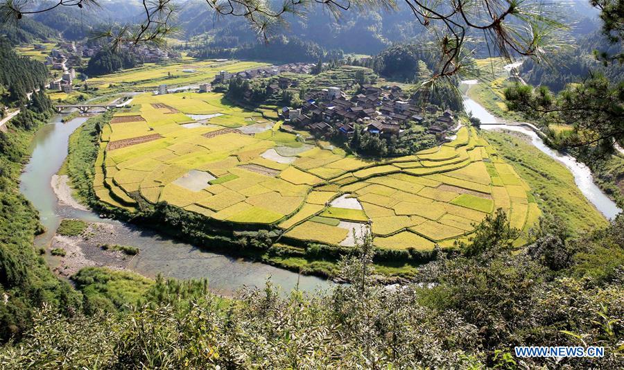 CHINA-AUTUMN-HARVEST(CN)