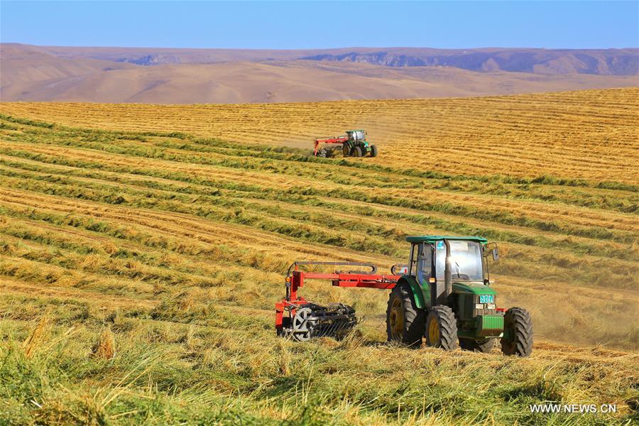 #CHINA-AUTUMN-HARVEST (CN)