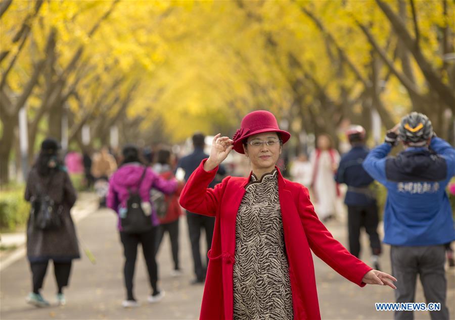 #CHINA-JIANGSU-GINKGO TREES (CN)