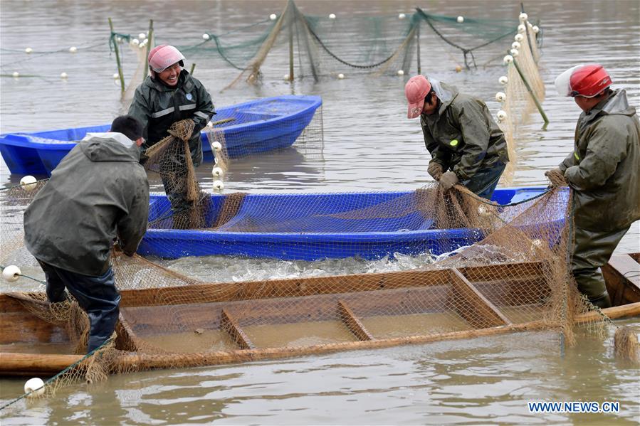 CHINA-JIANGXI-NANCHANG-FISHING (CN)