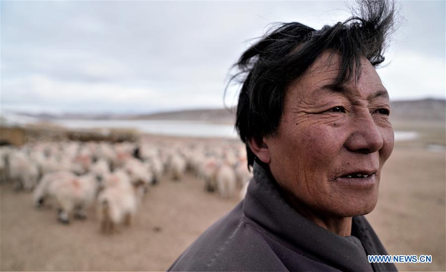 (InTibet) CHINA-TIBET-WINTER-HERDSMEN-LIFESTYLE (CN)