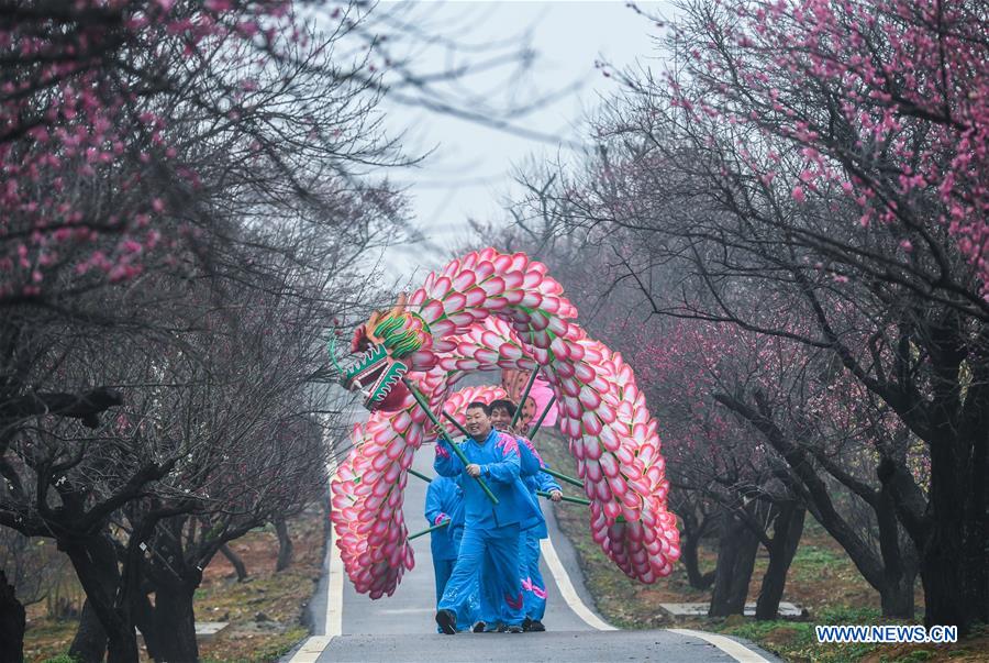 CHINA-ZHEJIANG-CHANGXING-PLUM BLOSSOM (CN)