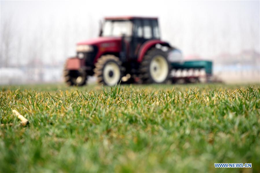 #CHINA-SPRING-FARMING (CN)