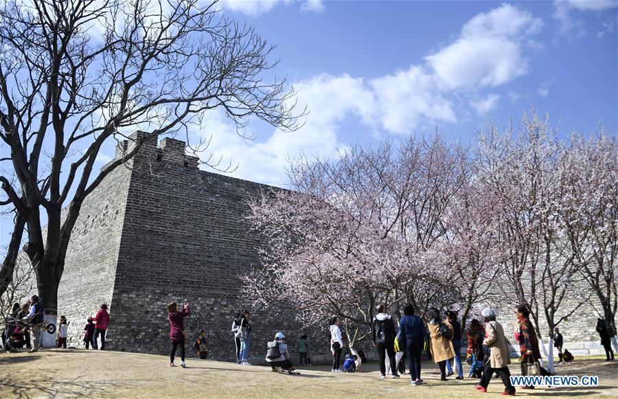 CHINA-BEIJING-SPRING-SCENERY (CN)