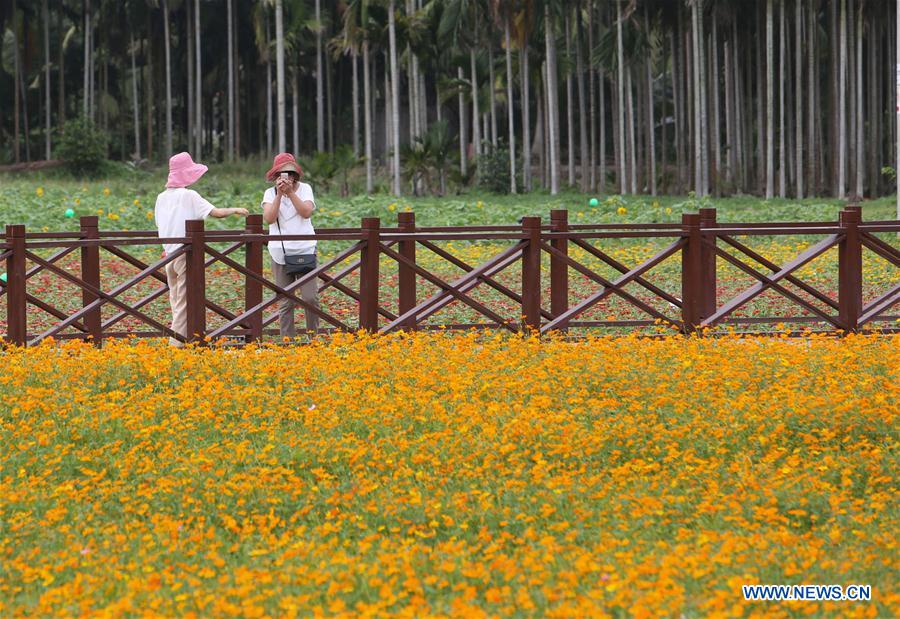 CHINA-QIONGHAI-RURAL DEVELOPMENT (CN)