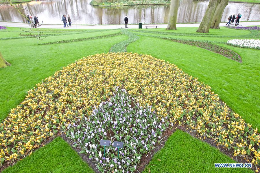 THE NETHERLANDS-LISSE-KEUKENHOF-TULIP