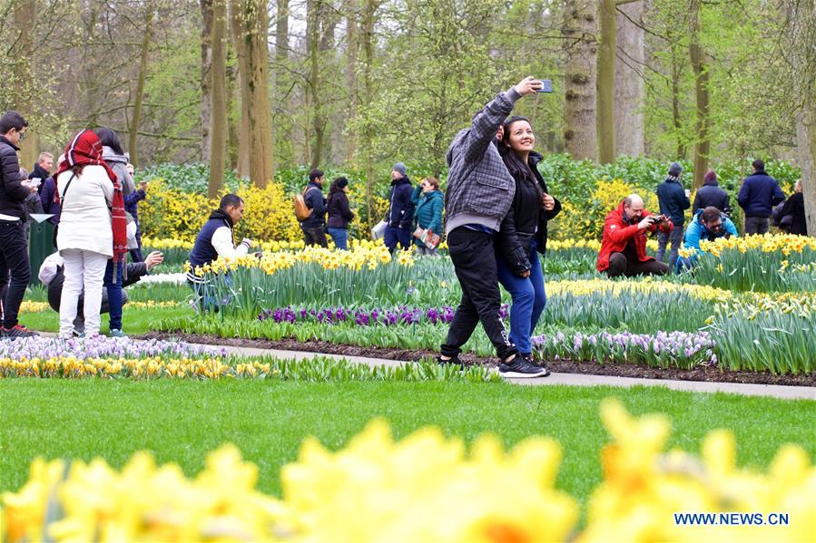 THE NETHERLANDS-LISSE-KEUKENHOF-TULIP