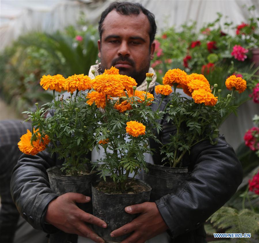 AFGHANISTAN-KABUL-FLOWER SHOP