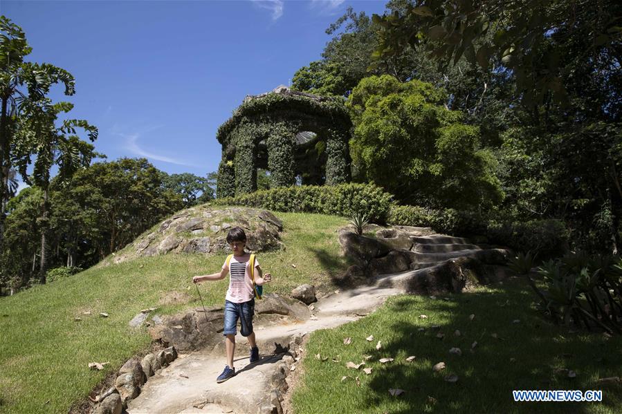 BRAZIL-RIO DE JANEIRO-BOTANICAL GARDEN