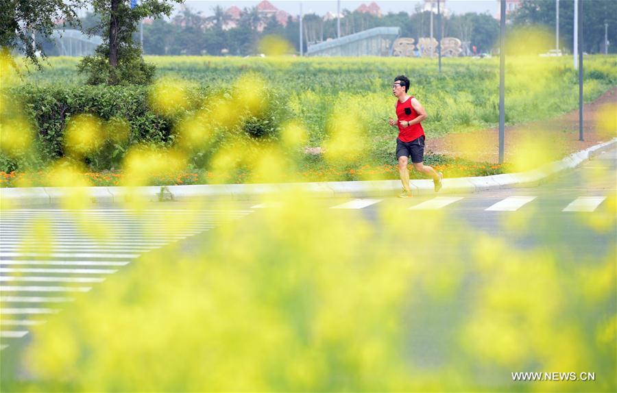 CHINA-SHENYANG-COLE FLOWERS(CN)