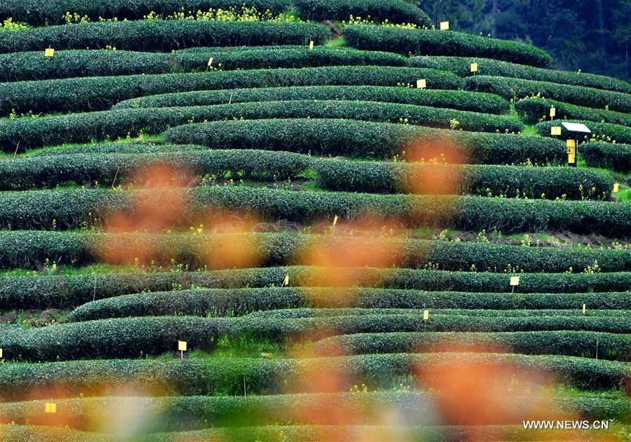 (EcoChina) CHINA-BEIJING-HORTICULTURAL EXPO-FUJIAN (CN)