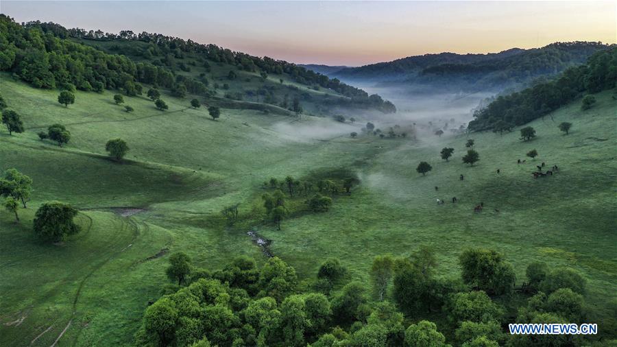 CHINA-SHAANXI-BAOJI-GUANSHAN GRASSLAND (CN)