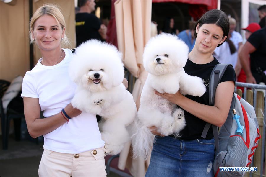 CROATIA-SPLIT-SUMMER NIGHT DOG SHOWS