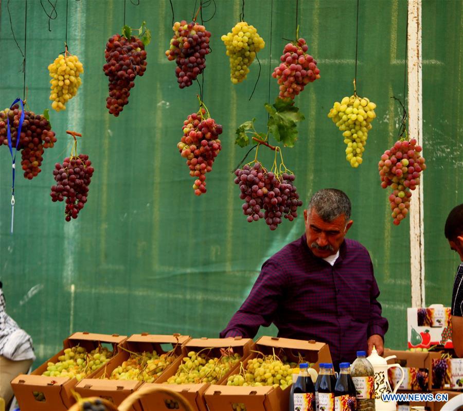 MIDEAST-HEBRON-GRAPES-FESTIVAL