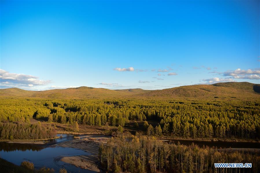 CHINA-INNER MONGOLIA-WETLAND PARK-AUTUMN SCENERY (CN)