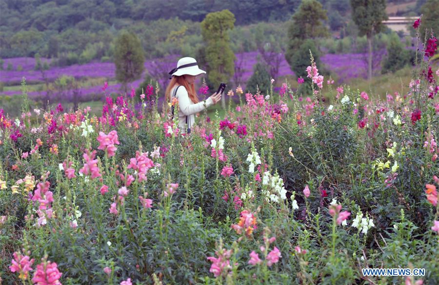 CHINA-YUNNAN-FLOWERS-TOURISM(CN)