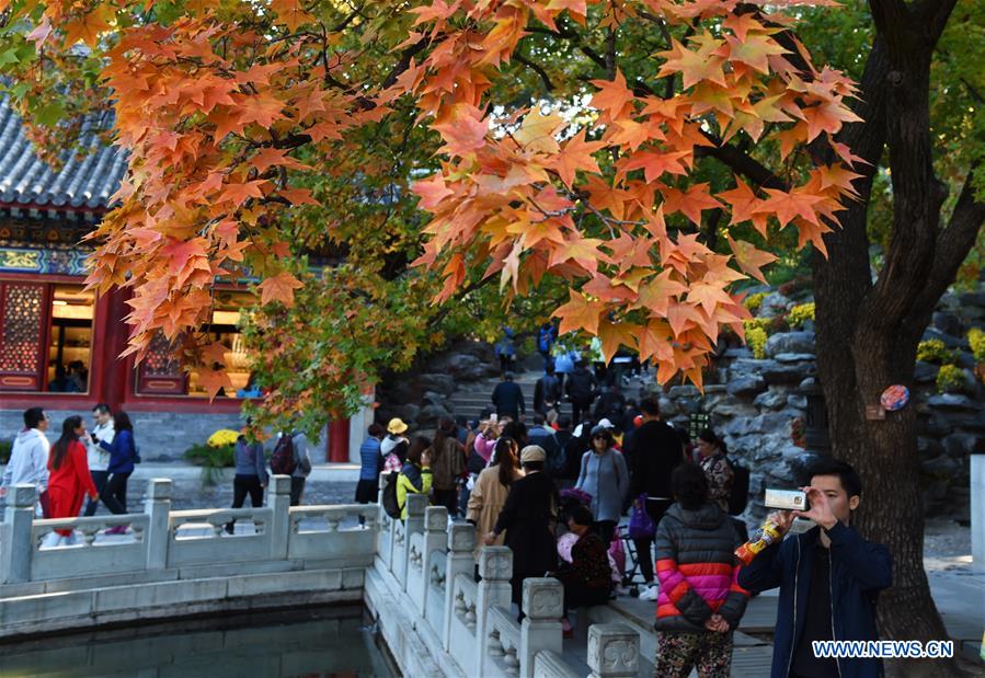 CHINA-BEIJING-XIANGSHAN PARK-AUTUMN SCENERY (CN)