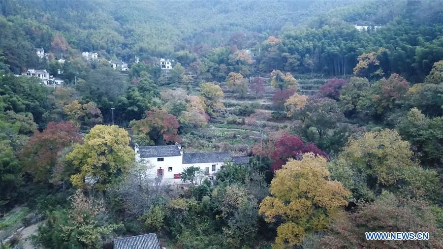 CHINA-ANHUI-TACHUAN-AUTUMN SCENERY (CN)