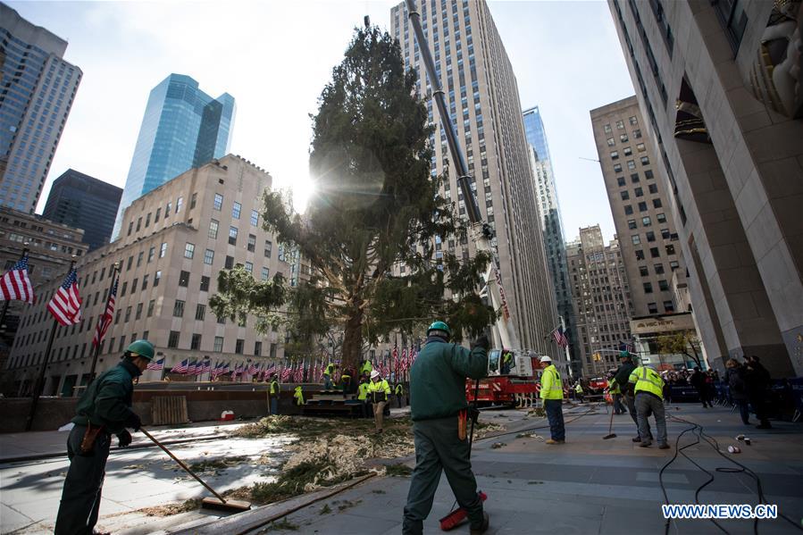 U.S.-NEW YORK-ROCKEFELLER CENTER-CHRISTMAS TREE-ARRIVAL