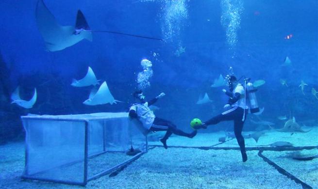 Divers play football underwater at ocean park in east China's Shandong