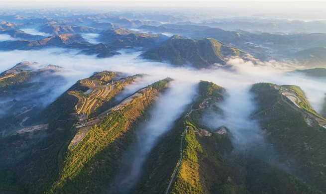 Wuqi county in Yan'an pursues ecological, sustainable development