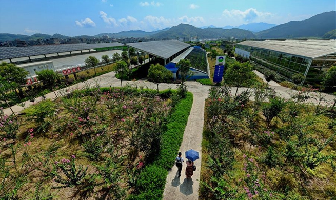 New way of poverty alleviation brings benefits to people in town of Fujian