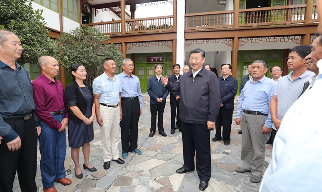 Xi goes to central China on inspection tour