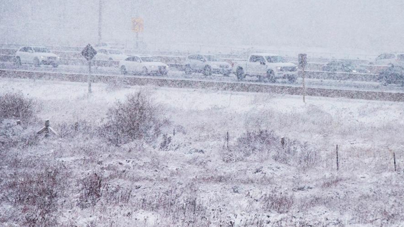 Snowfall hits Greater Toronto Area