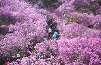 Tourists enjoy spring flowers across China