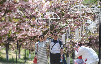 In pics: 203 cherry garden in Dalian, NE China's Liaoning