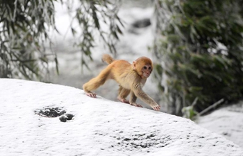 Winter scenery across China