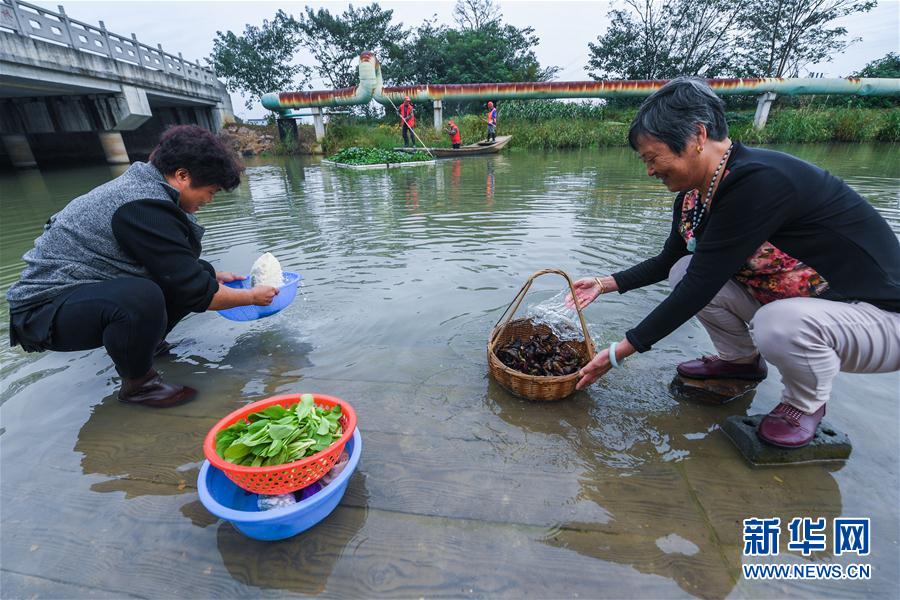 （砥砺奋进的五年·长江经济带）（1）江南水乡“河长制” 共护乡村一池清水