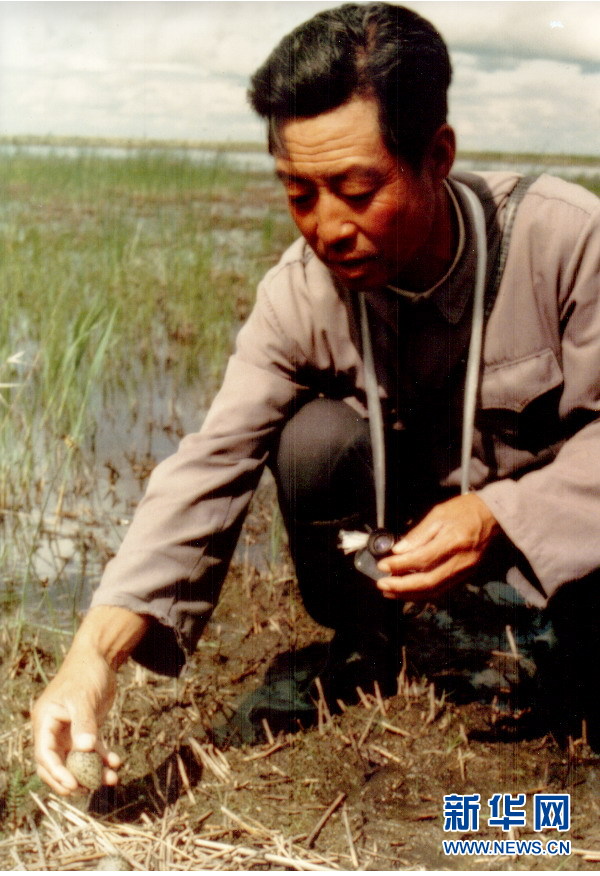 （图文互动·新华全媒头条）（4）一家人与一群鹤的生死相守