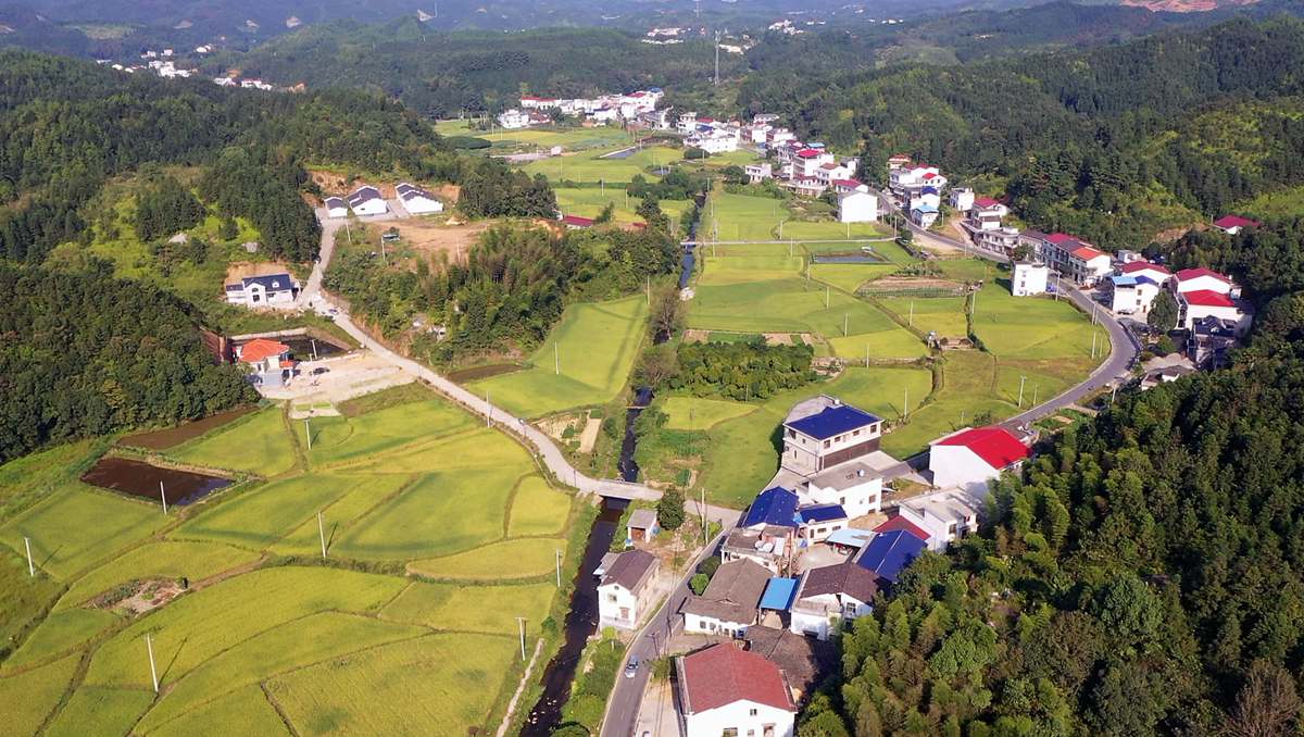 村规民约接地气 乡村振兴有底气